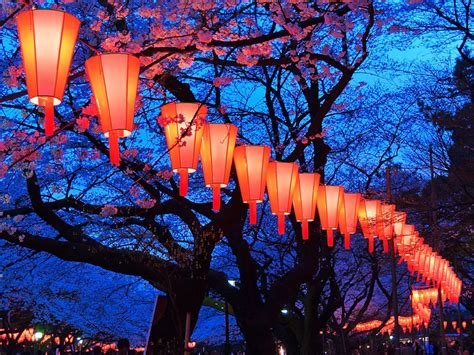 Morikami Japanese Gardens Lantern Festival Beautiful Insanity