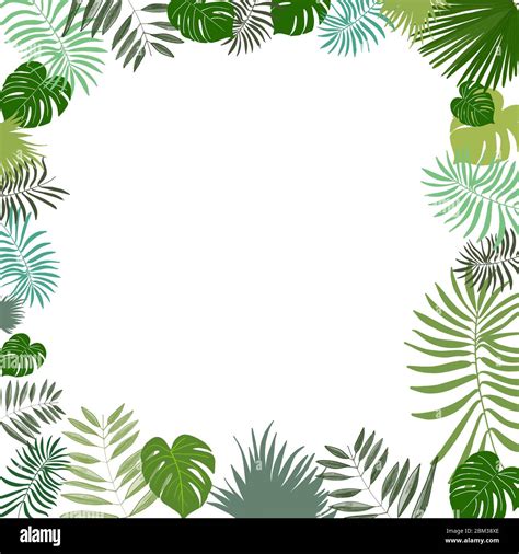 frame with tropical leaves vector illustration summer background stock vector image and art alamy