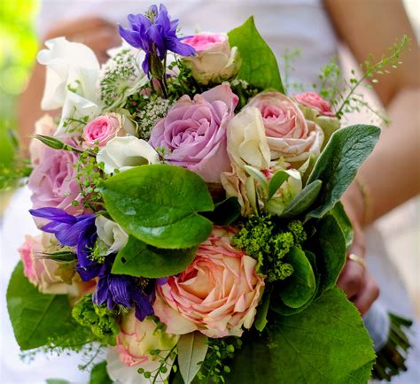 It is not unusual with products, ingredients, and images used in media, design, and commercial works to be presented with the wrong common names, wrong species names, and/or wrong ingredients. Free picture: bouquet, arrangement, bride, marriage, rose ...