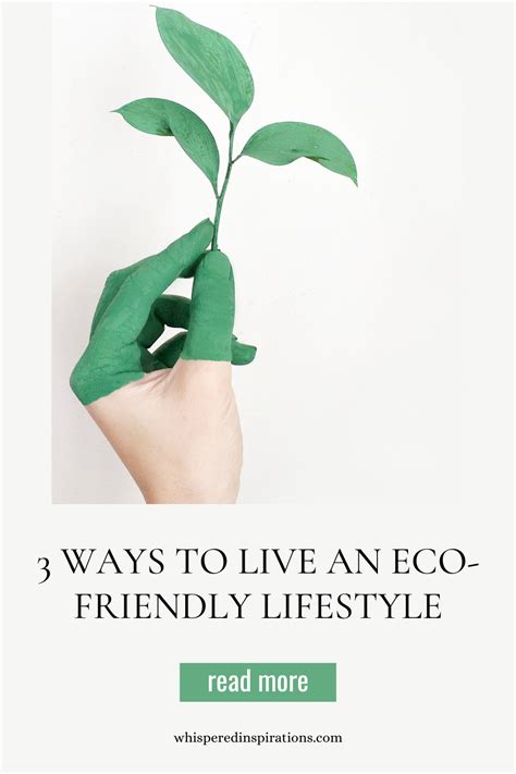 3 Ways To Live A More Eco Friendly Lifestyle Whispered Inspirations