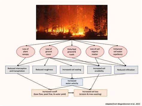 Mitigating The Lasting Effects Of Wildfire California Ecosystem