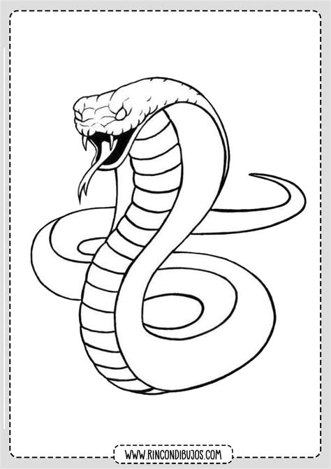 Dibujo Cobra Colorear Rincon Dibujos