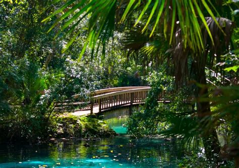 15 Surreal Places Near Tampa You Wont Believe Really Exist Cool