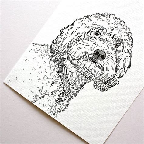 Check spelling or type a new query. Personalised Pet Portrait Line Drawings By Adam Regester Design | notonthehighstreet.com