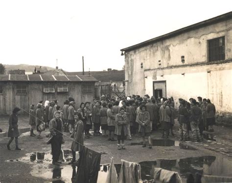 Die frage der existenz der gaskammer in mauthausen wird so von einem wissenschaftlichen zu einem rein ideologischen thema, der zweifel zur leugnung, welche in letzter instanz die. Weibliche Häftlinge - KZ-Gedenkstätte Mauthausen