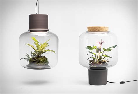 Biophilic Lighting Design 8 Wonderful Projects To Know Designwanted