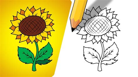 How To Draw Sunflower For Kids Youtube