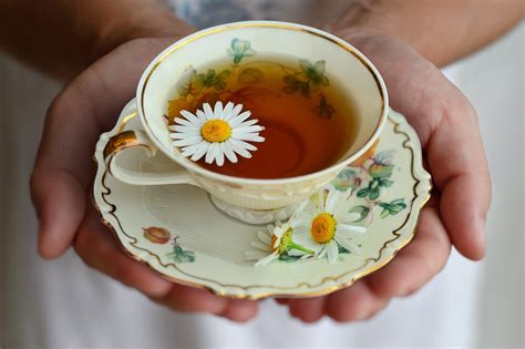 10 Incredible Chamomile Tea Benefits I Must Read