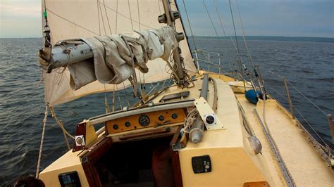 5 Ways Clevis Pins Are Used In Sailing Boats My Boat Life