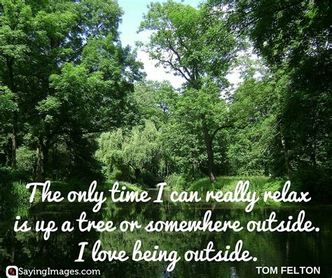 25 Best Tree Quotes