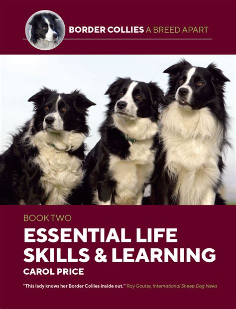 Border Collies A Breed Apart Book Two Essential Life Skills And Learning