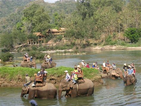 All Lao Elephant Camp Luang Prabang 2021 All You Need To Know