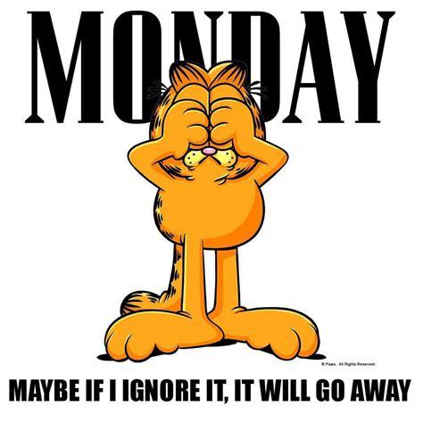 Pin By Johanna Aviles On Garfield With Images Garfield Quotes