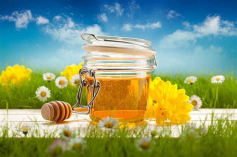 Get To Know The Potent Healing Powers Of Honey