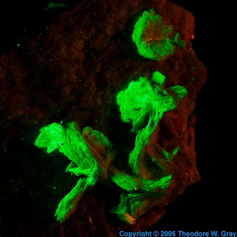 Nuclear weapons use the metallic form. Autunite, a sample of the element Uranium in the Periodic ...