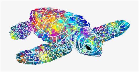 Download Watercolor Sea Turtle Colorful Drawing Sea Turtle