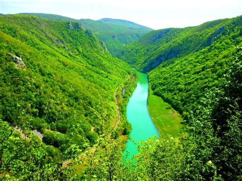 Drina je poznata kao najlepša i najčistija planinska reka na balkanu sa brojnim populacijama plemenitih vrsta riba. mostar rijeka drina m1bab98c506dc3dc851cd86b1278eb25 ...