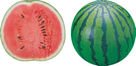 watermelon PNG image