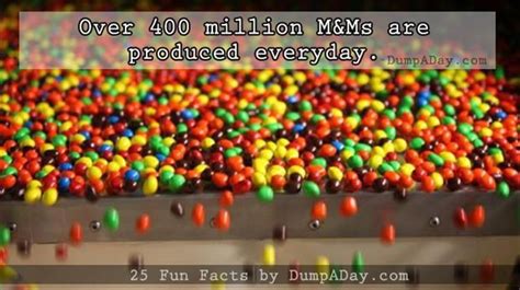 25 Fun Facts I Bet You Didnt Know Fun Facts Facts Fun