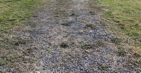 If you want to remove a gravel walkway, check under the gravel for a geotextile cloth. How to Remove a Gravel Drive in the (Flipping) Middle of ...