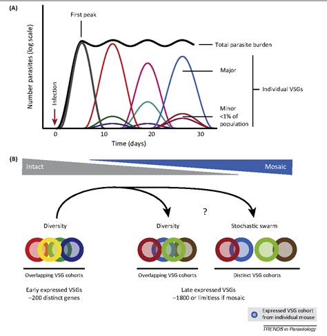 figure 1 from quantitative sequencing confirms vsg diversity as central to immune evasion by