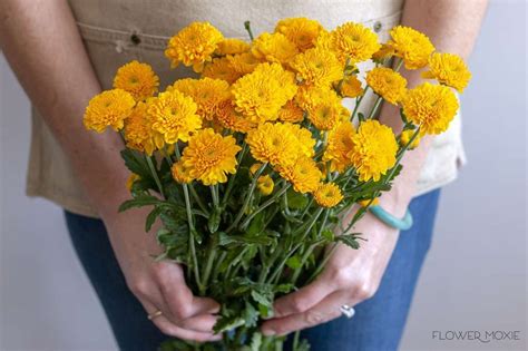 Bring home the beauty of sunflowers with our sunny escape arrangement! Yellow Button Pom FlowersDefault Title | Flower care ...