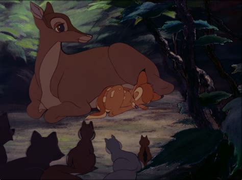 Bambi Images Bambi And His Mother Hd Wallpaper And