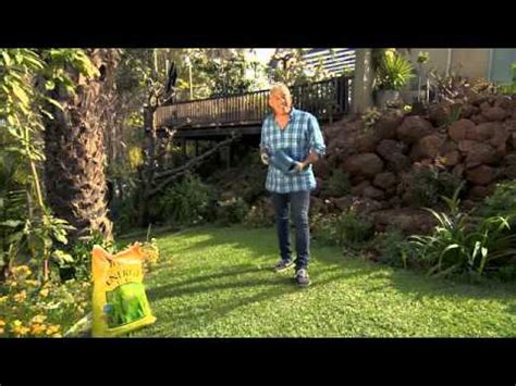 The Garden Gurus Energy Turf Lawn Reviver YouTube