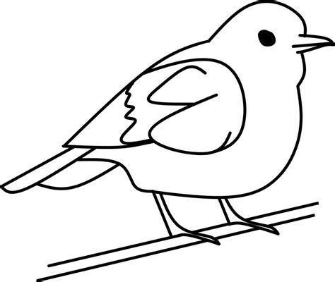 Garden little black and white bird. นก ต้นไม้ นอกเส้น · กราฟิกแบบเวกเตอร์ฟรีบน Pixabay