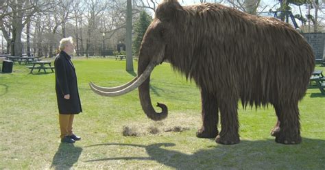 Clone A Woolly Mammoth Scientists Are In It For The Long Haul