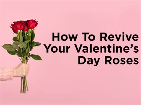 how to revive your valentine s day roses — 1000bulbs blog