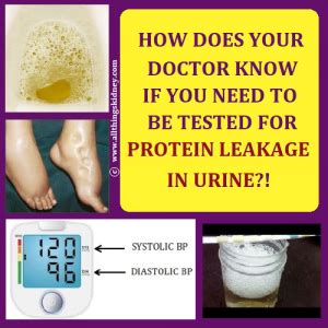 The Urine Series: Your guide to Human Urine | All Things Kidney ~ Official