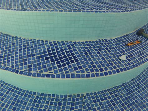 Guide to cleaning fish ponds without draining water (updated 2021). Swimming Pool Tiles Cleaning and Sanitizing Without ...