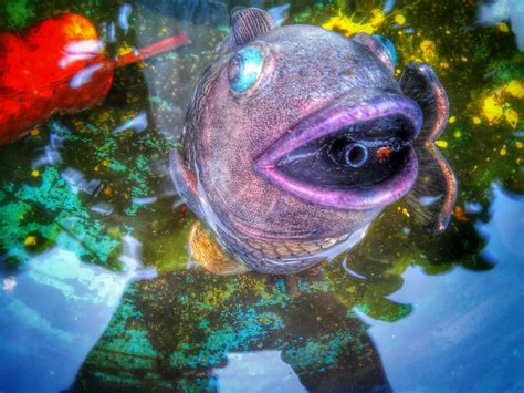 The Magic Fish The Magic Fish ©2017 Edward Drake Sarasot Flickr