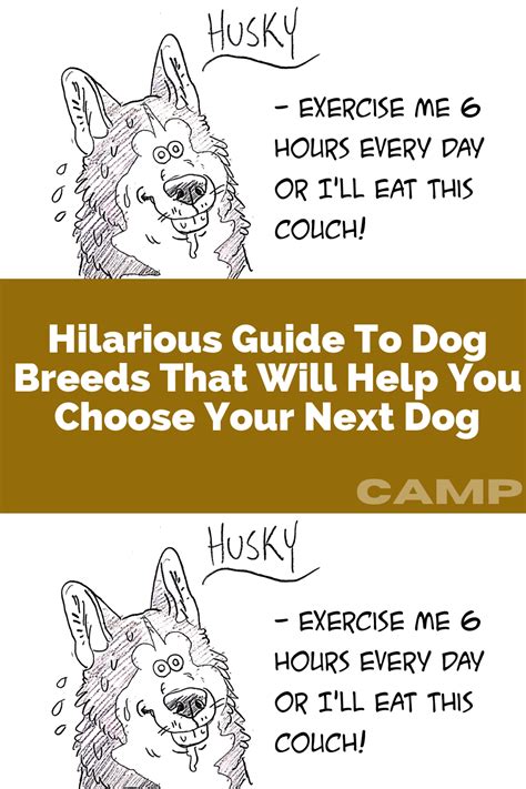 Hilarious Guide To Dog Breeds That Will Help You Choose Your Next Dog