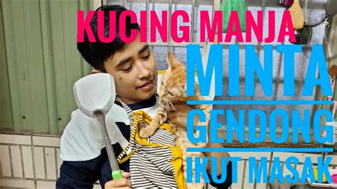 Kucing dalam mimpi yang agresif dikaitkan dengan sifat kewanitaan pada diri seseorang. Kucing manja minta gendong ikut masak - YouTube