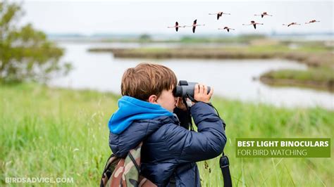 Best Binoculars With Camera For Bird Watching Glopassl