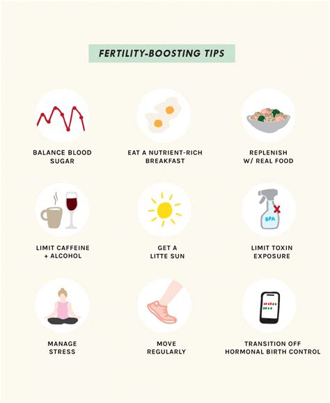 Simple Science Backed Steps To Boost Fertility Naturally So Fresh N
