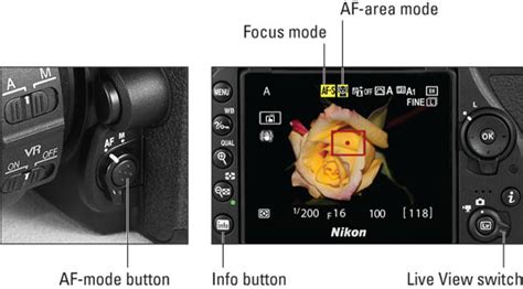 Controlling Autofocus Behavior On The Nikon D7500 Camera Dummies