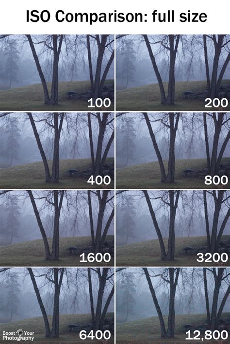 ISO Basics | Boost Your Photography
