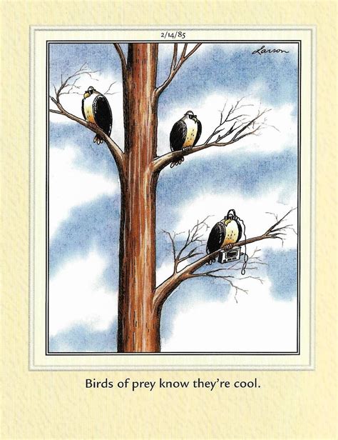 Pin By Eric Lightsey On Cartoons Birds Cartoon Birds