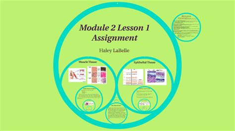 Module 2 Lesson 1 Assignment By Haley Labelle