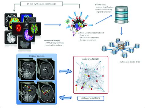 Precision Oncology Advances From Imaging Biomarkers To Network