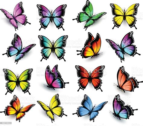 Ilustración De Conjunto De Coloridas Mariposas Vector Y Más Vectores