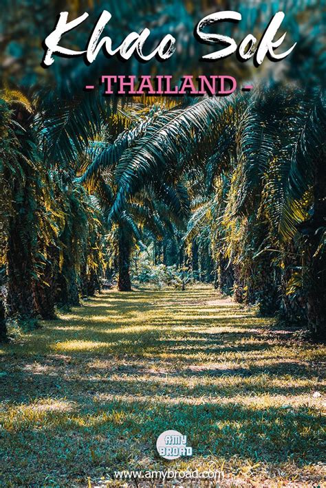How To Travel Khao Sok Thailand Travel Guide World