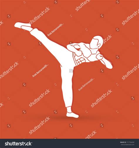 Kung Fu Karate Kick Graphic Vector Stock Vector Royalty Free
