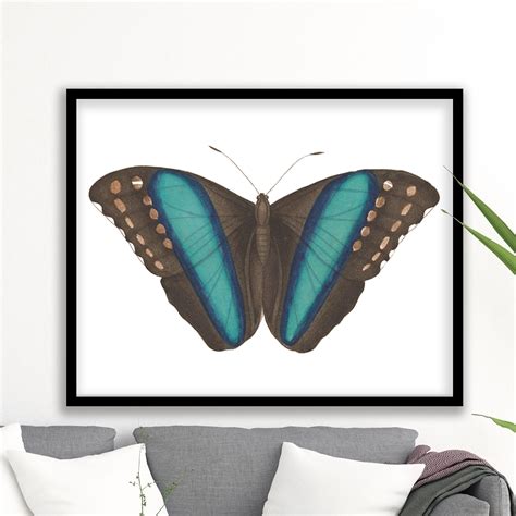Vintage Butterfly 17 Painting Framed Ready To Hang Wall Art Art