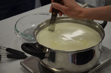 How to Make Mozzarella Cheese: Recipe and Video Tutorial - Mom it Forward