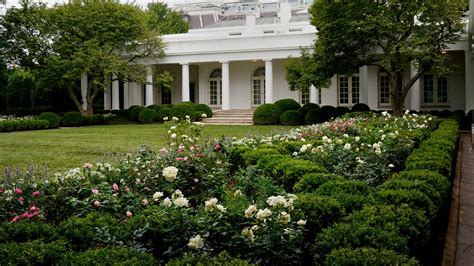 Melania Trump Renovates White House Rose Garden Ahead Of Rnc Speech