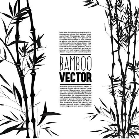 Bamboo Plant Stock Photos Pictures And Royalty Free Images Istock